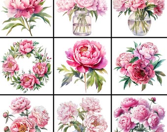 Mazzo di peonie rosa, Clipart floreali ad acquerello, Download digitale, Clipart di bouquet di peonie rosa in formato PNG, Copribicchiere patriottico, Decorazioni con peonie