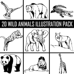 Safari Animals Clipart, Safari Digital Illustrations, Animal Drawings, Jungle Animals Clipart, Instant Digital Download, 20 High Quality Png