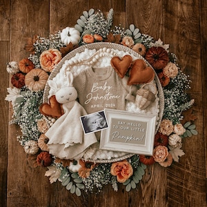Fall Pregnancy Announcement Digital, Baby Announcement, Social Media Reveal