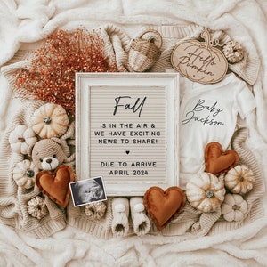 Fall Pregnancy Announcement Digital, Baby Announcement, Social Media Reveal