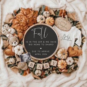 Fall Pregnancy Announcement Digital, Baby Announcement, Social Media Reveal