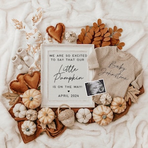 Fall Pregnancy Announcement Digital, Baby Announcement, Social Media Reveal