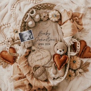 Fall Pregnancy Announcement Digital, Baby Announcement, Social Media Reveal