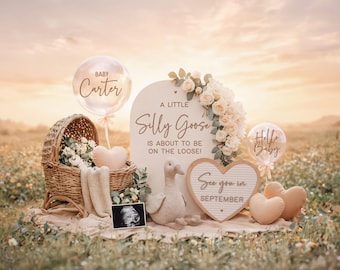 Silly Goose Pregnancy Announcement: Baby Social Media Reveal