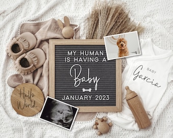 Könnte beinhalten: Eine Schwangerschaftsanzeige mit einem Buchstabenbrett, auf dem "My human is having a baby January 2023" steht. Es gibt auch einen Baby-Strampler mit dem Text "Baby Garcia", eine Holz-Babyflasche, ein Holzschild mit der Aufschrift "Hello World", ein Paar Baby-Mokassins, ein Ultraschallbild und ein Foto eines Hundes.