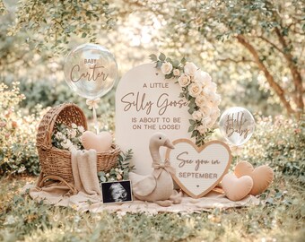 Silly Goose Pregnancy Announcement: Baby Social Media Reveal