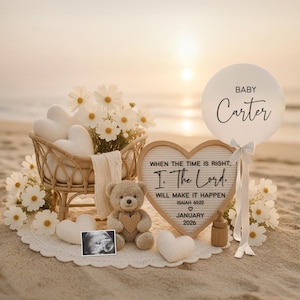 May include: A beach scene with a baby announcement. A wicker basket holds white heart-shaped pillows and daisies. A teddy bear, ultrasound photo, and a heart-shaped sign with text are present. A balloon says "Baby Carter".