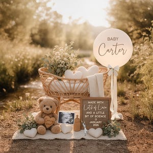 May include: A baby announcement scene with a wicker bassinet, teddy bear, and sign that reads "Made with Lots of Love and a Little Bit of Science January 2026." A balloon displays "Baby Carter."