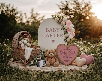 May include: A pregnancy announcement scene with a wicker bassinet, teddy bear, and a sign reading "Baby Carter." A heart-shaped sign announces "We have a Baby Girl on the way! January 2026." Flowers and hearts decorate the scene.