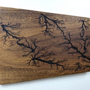 Lichtenberg Fraktal Brennen Wandkunst - Walnuss, Organic Design, 30x18 cm