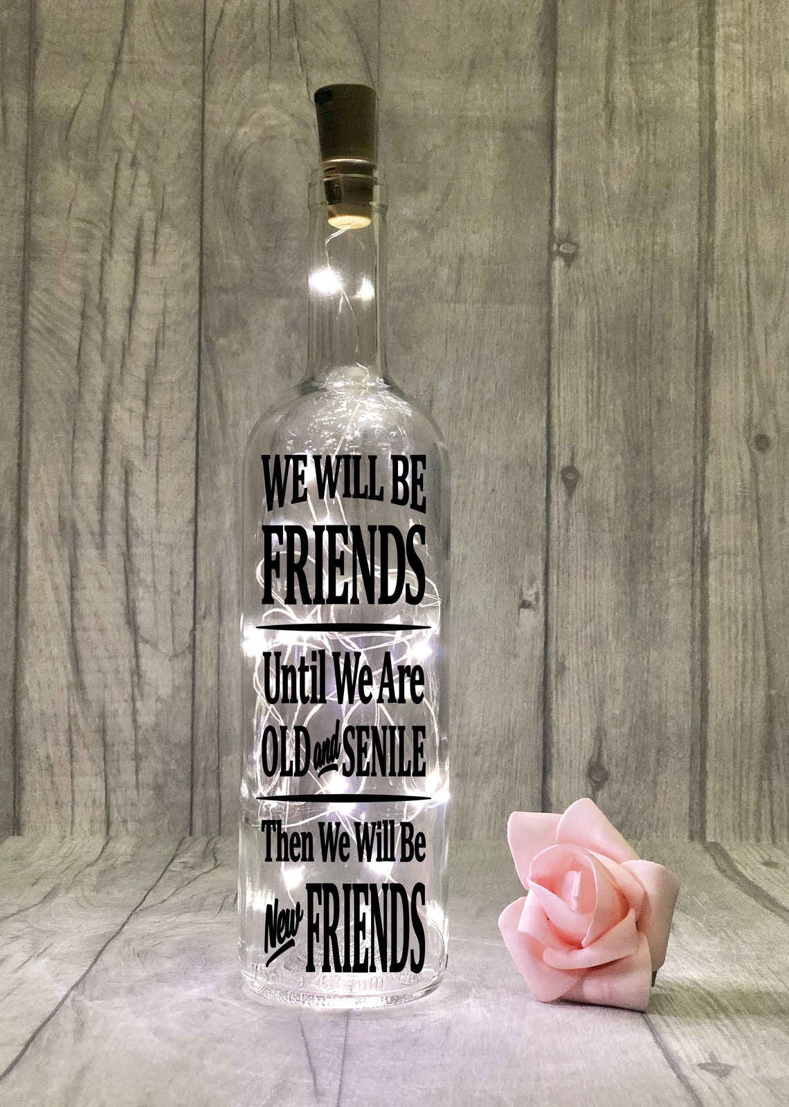 Funny Friendship Gift Best Friend Birthday Gifts 'we | Etsy UK