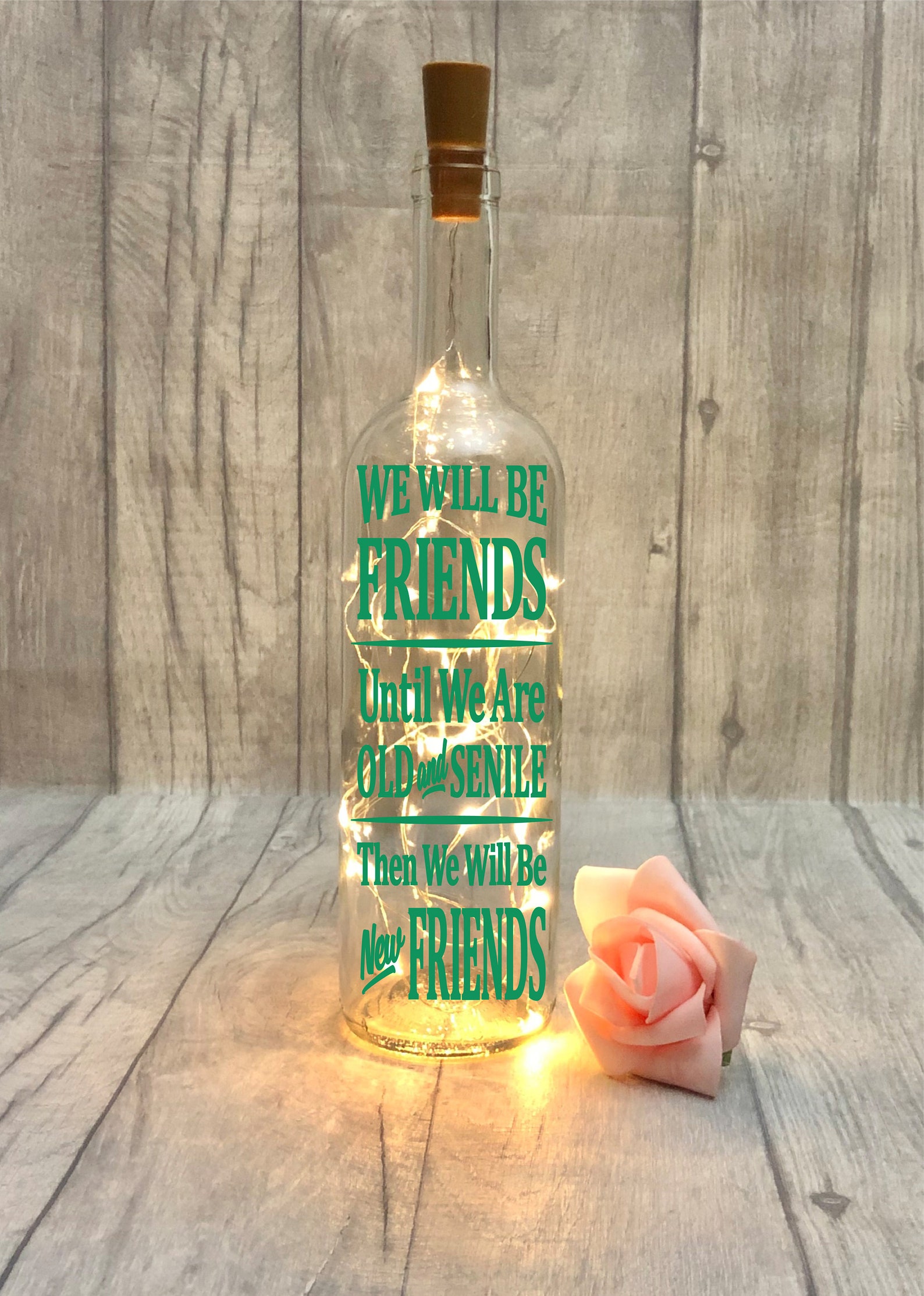 Funny Friendship Gift Best Friend Birthday Gifts 'we | Etsy UK