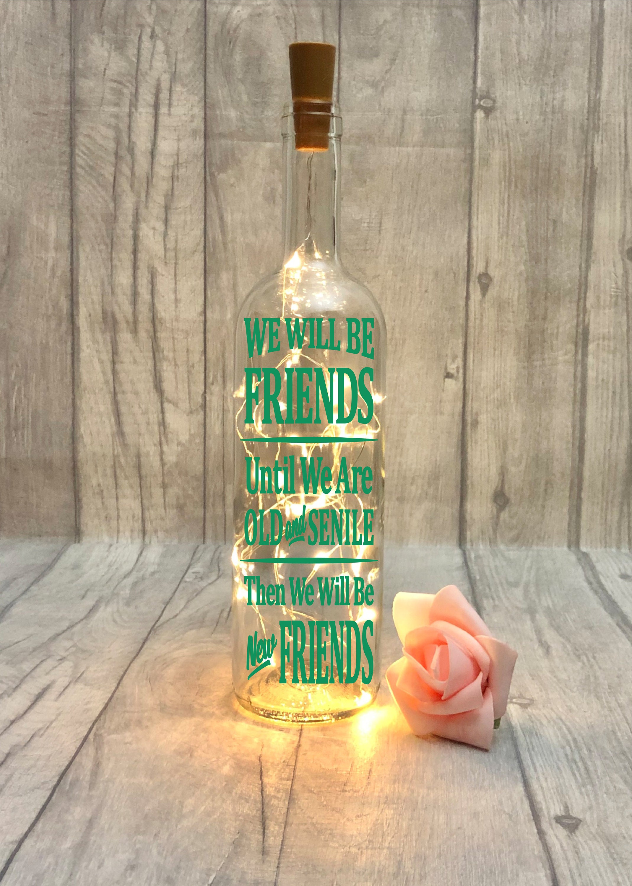 Funny Friendship Gift Best Friend Birthday Gifts 'we | Etsy UK