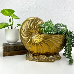 May include: A gold-toned brass planter shaped like a nautilus shell with a variety of green plants growing inside.
