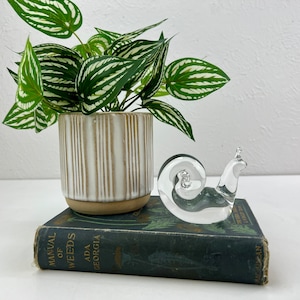 Crystal Glass Steuben Snail - Clear Crystal Sculpture - Signed Art Snail - Glass Mollusk Decor - Paperweight - Desk Decor - Collectible