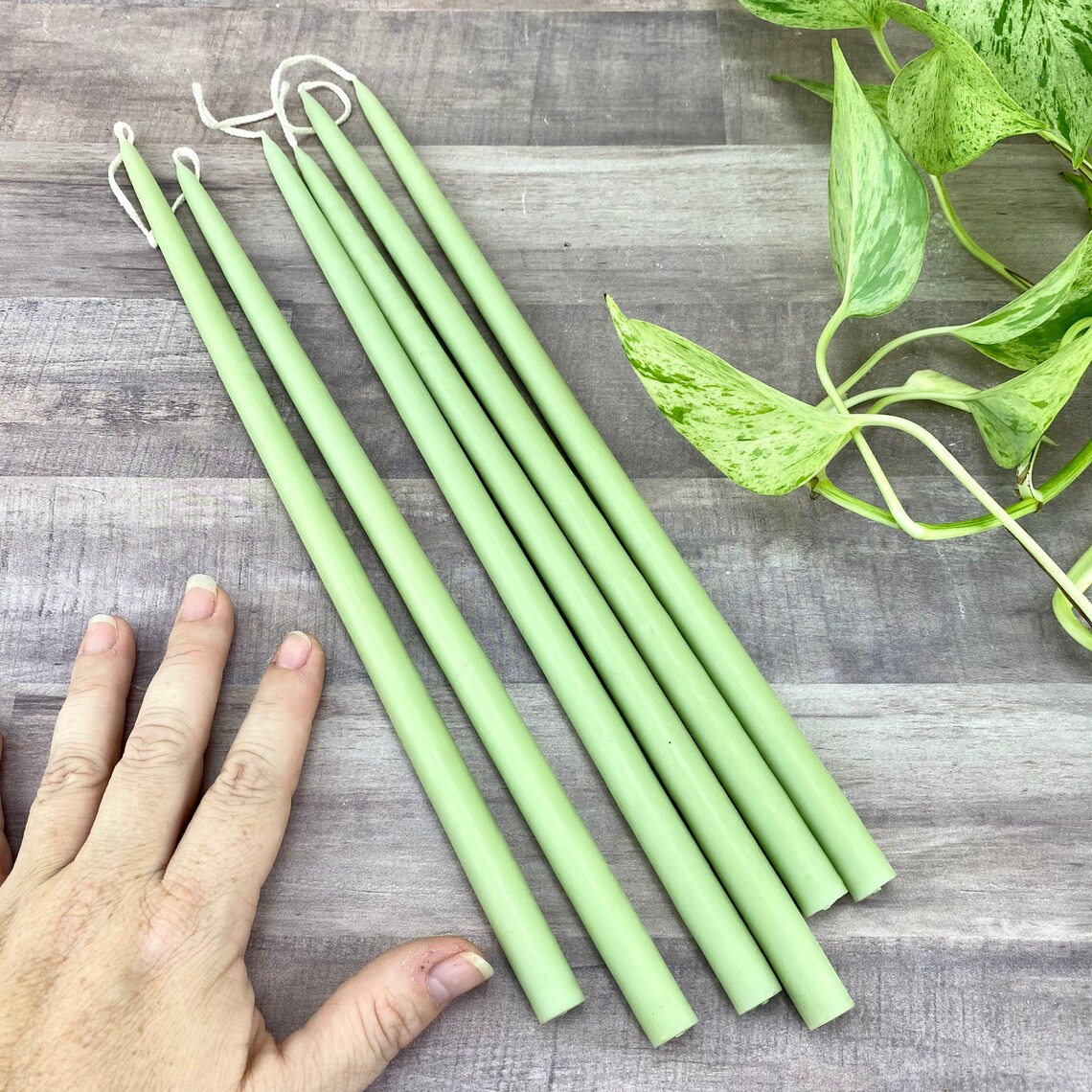 Skinny Taper Candles Set of Six Mint Green Vintage Hand Etsy