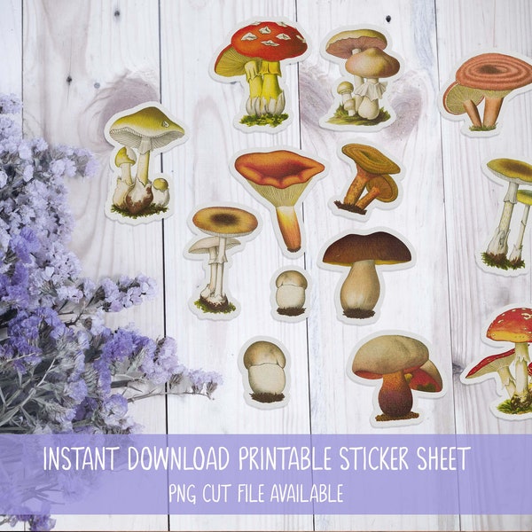 Mushroom Stickers Printable Funghi Die Cuts Instant Download Scrapbooking Green Witch Grimoire Planner Stickers Witchy Book of Shadows Cameo