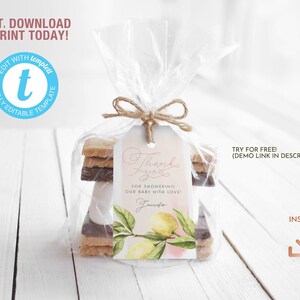 Pink Lemon Citrus & Roses Favor Tag, Lemon Greenery theme Thank you Printable Tag, Baby Bridal Shower Birthday Party Editable Label Template