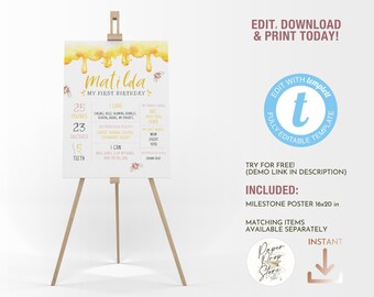 Honey Bee First Birthday Milestone Board Template, Our little Honey is ONE Pink and Yellow Girl Party Editable Printable Sign