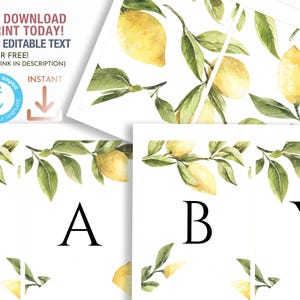 Puede incluir: Pancarta de baby shower imprimible con la palabra "BABY" en letras negras sobre un fondo blanco. La pancarta está decorada con ilustraciones de acuarela de limones y hojas verdes.