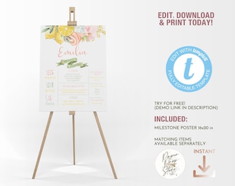 Sunshine and Lemonade First Birthday Milestone Board Template, Lemon Citrus Pink and Yellow Girl Summer Party Editable Printable Sign