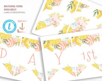 Lemonade Sunshine Floral Bunting, Summer Theme Printable Garland, Editable Yellow Pink Party Banner Template