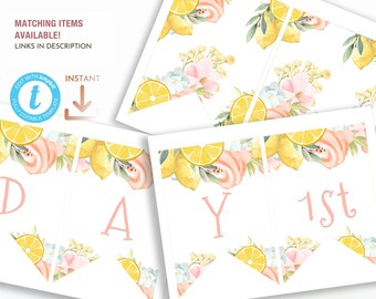 Lemonade Sunshine Floral Bunting, Summer Theme Printable Garland, Editable Yellow Pink Party Banner Template