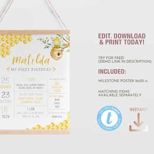 Honey Bee First Birthday Milestone Board Template, ONE Girl Party Editable Printable Sign