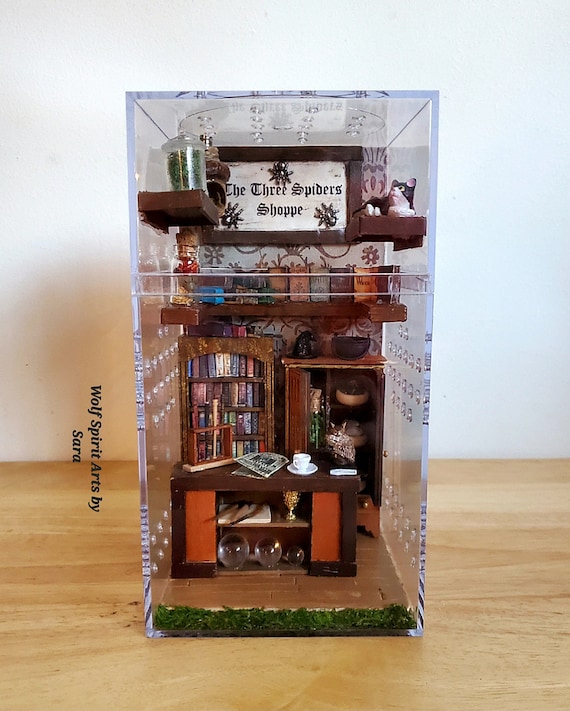 Made-to-order Wizard's Study Jumping Spider Enclosure,jumping