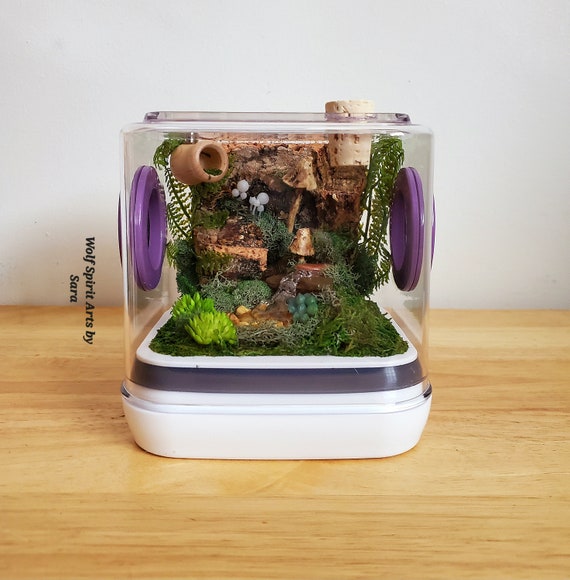 FRCOLOR Box Tarantula Enclosure Tank Spider Small Animals Reptile  Accessories pet Terrarium Mini Water Tank Terrarium Container Glass Shell  Wood