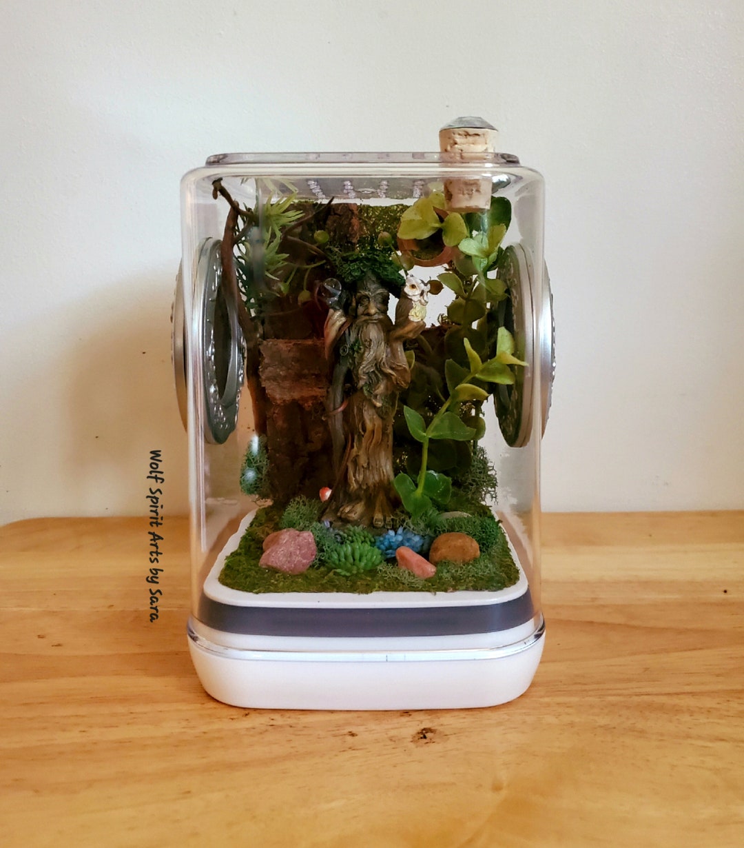 Madetoorder Medium Jumping Spider Enclosure, Jumping Spider Decor