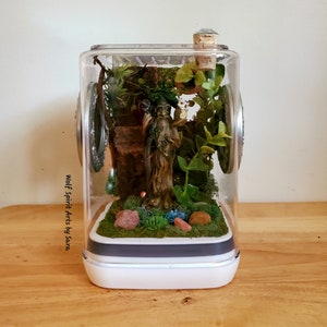 Made-to-Order Medium jumping spider enclosure, jumping spider decor, jumping spider enclosure accessories, jumping spider, arboreal, custom