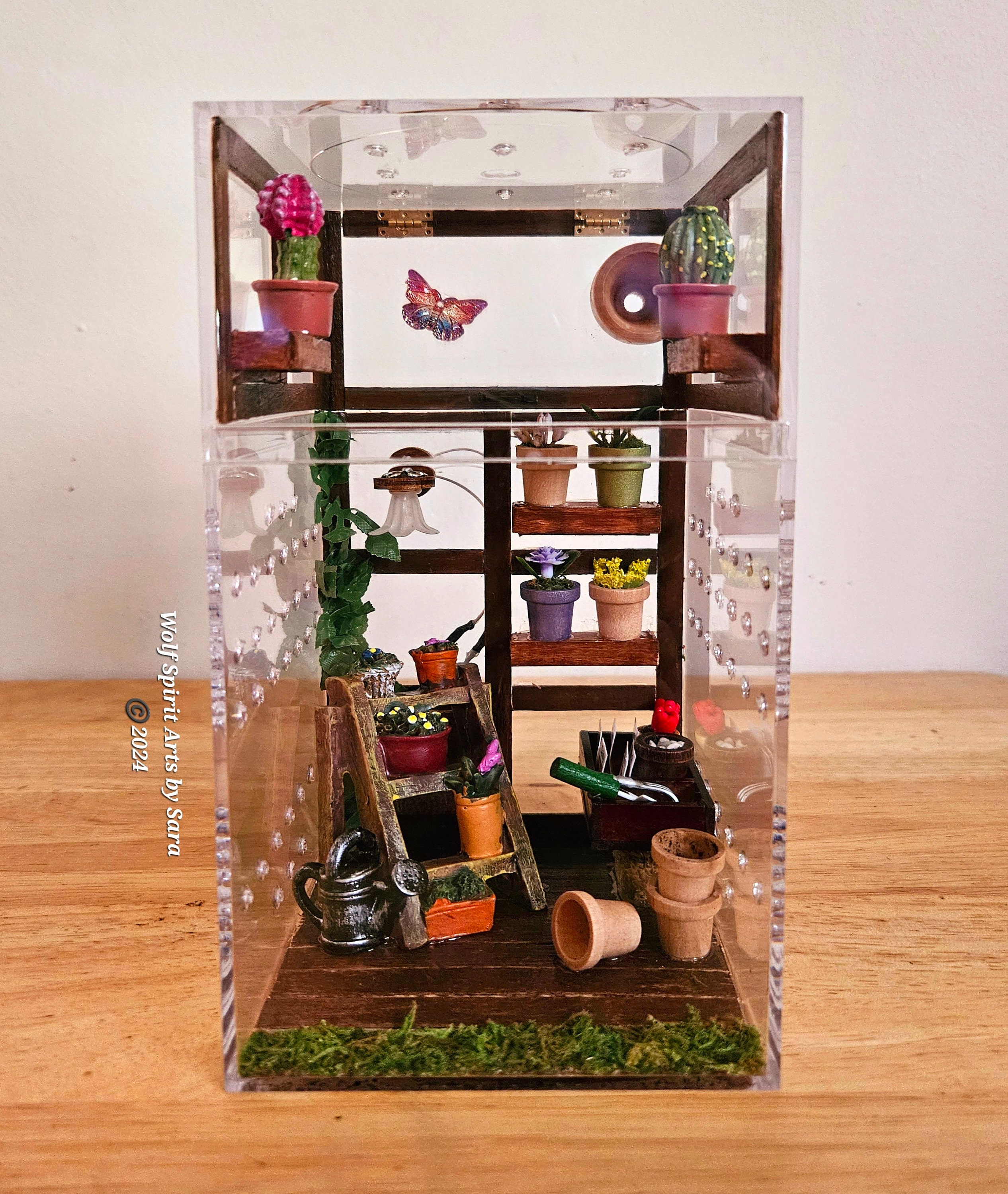 Made-to-Order light-up greenhouse enclosure, arboreal, jumping spider decor, accessories