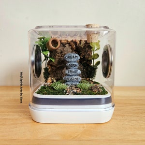 Made-to-Order Sling/Juvenile jumping spider enclosure, jumping spider decor, jumping spider enclosure accessories, jumping spider, arboreal