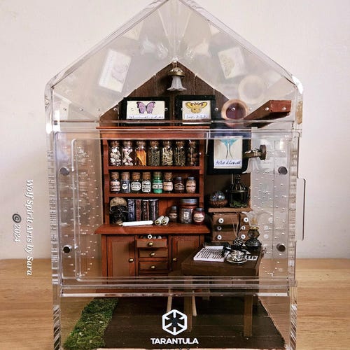 Made-to-order DELUXE 6x9 Light-up Apothecary Enclosure, Jumping
