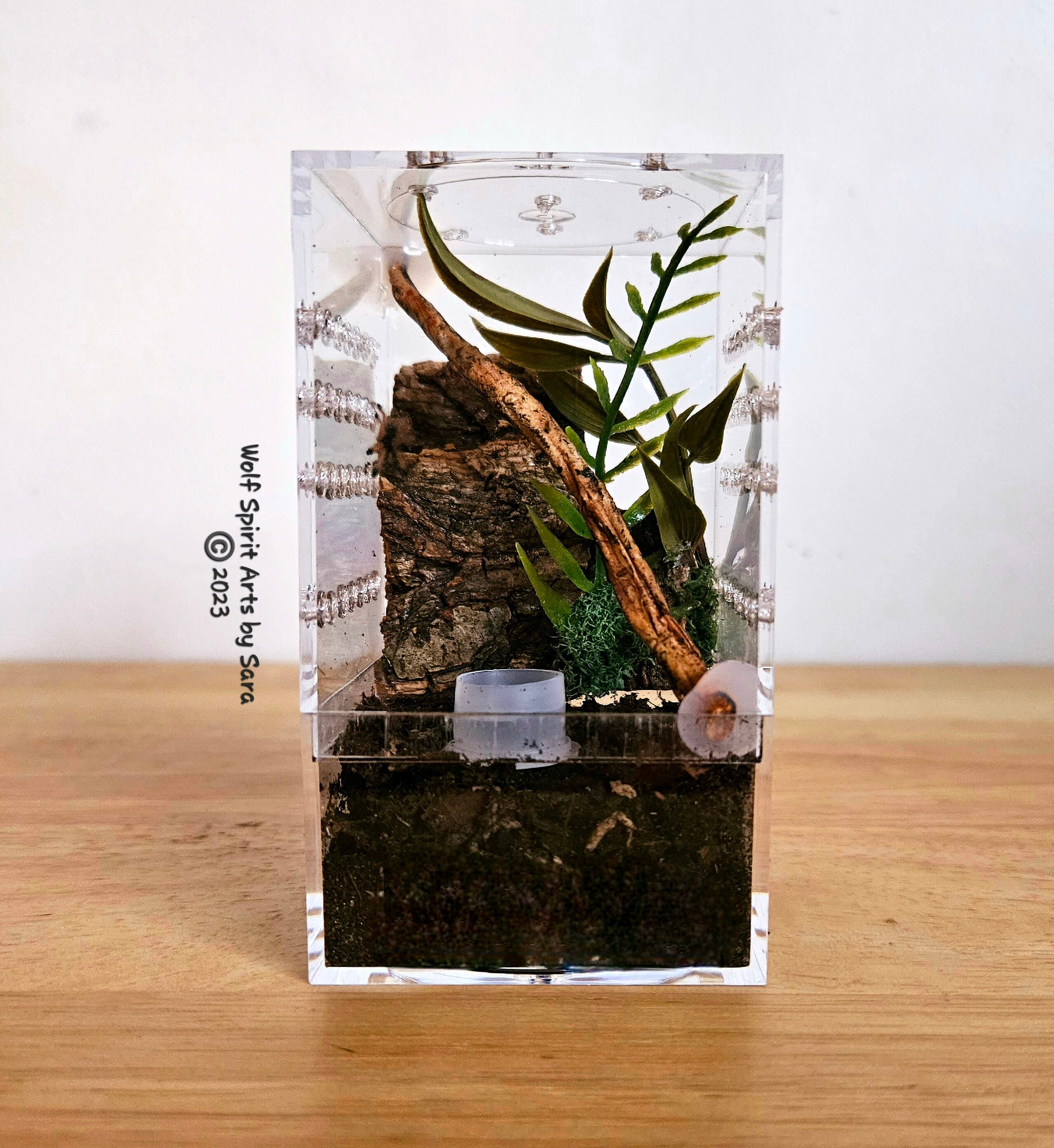 Set Di 2 Accessori Per Terrario Ragno: Rete In Poliestere Con Magneti Per Arrampicata, Decorazione Habitat Per Tarantole E Mantidi