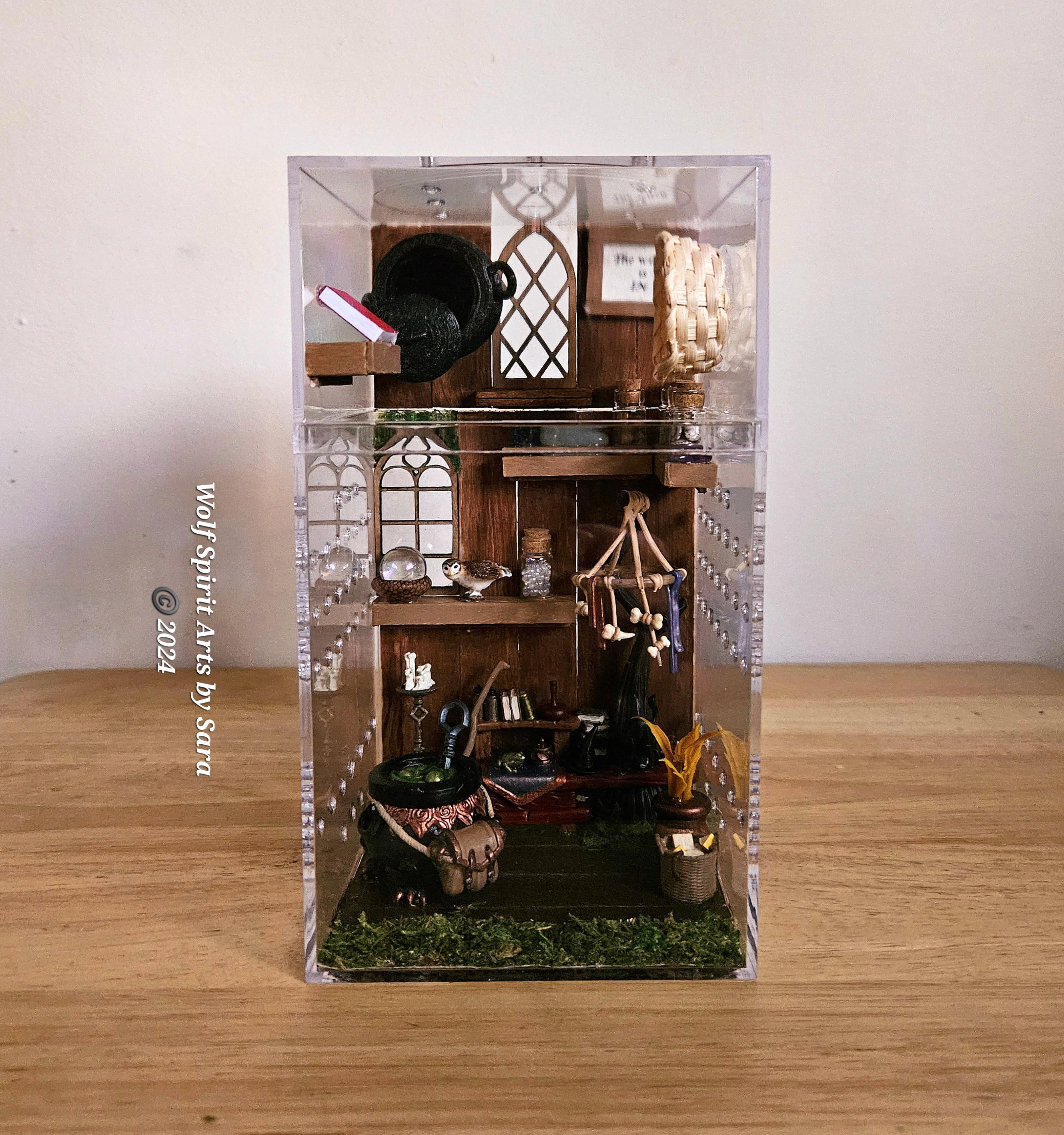 Dekoration Für Springspinnen | Magnetisches Walnuss Holz Habitat Gehege