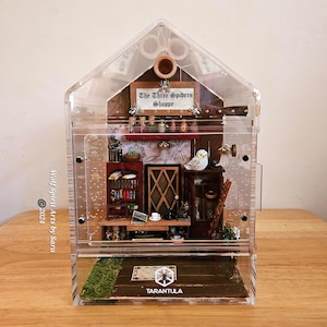 Recinto iluminado DELUXE 6x9 de Three Spiders Shoppe, hecho a medida, decoración de arañas saltarinas, accesorios para recintos de arañas saltarinas, arañas saltarinas