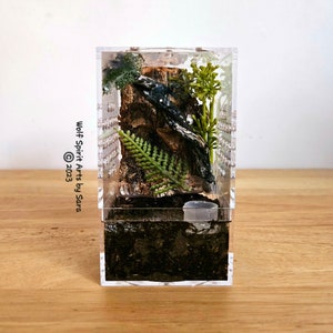 Made-to-Order EXTRA SMALL arboreal tarantula/jumping spider sling enclosure kit, arboreal tarantula decor, arboreal, tarantula