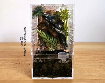 Made-to-order Sling/juvenile Jumping Spider Enclosure, Jumping