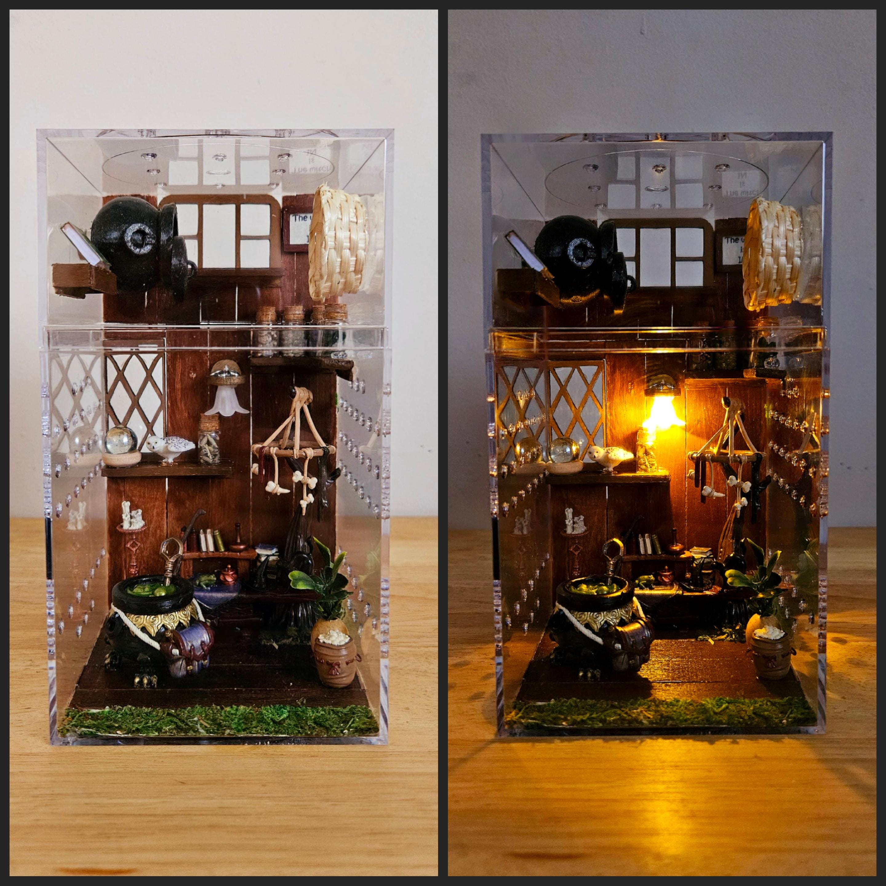 アトムの子　holmegaard tivori mini Made-to-order Witch's Cottage Jumping Spider Enclosure,jumping
