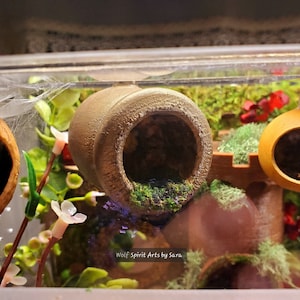 The ORIGINAL extra-large jumping spider hide, Jumping Spider decor, Pet Home, Pet House, Hide, Spider Home, Arachnid, Pet Spider, Invert