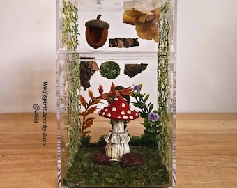 Made-to-Order basic woodsy jumping spider enclosure (2 SIZES to choose from), arboreal, jumping spider decor, accessories