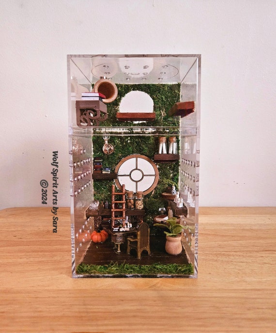 Made-to-order Wizard's Study Jumping Spider Enclosure,jumping