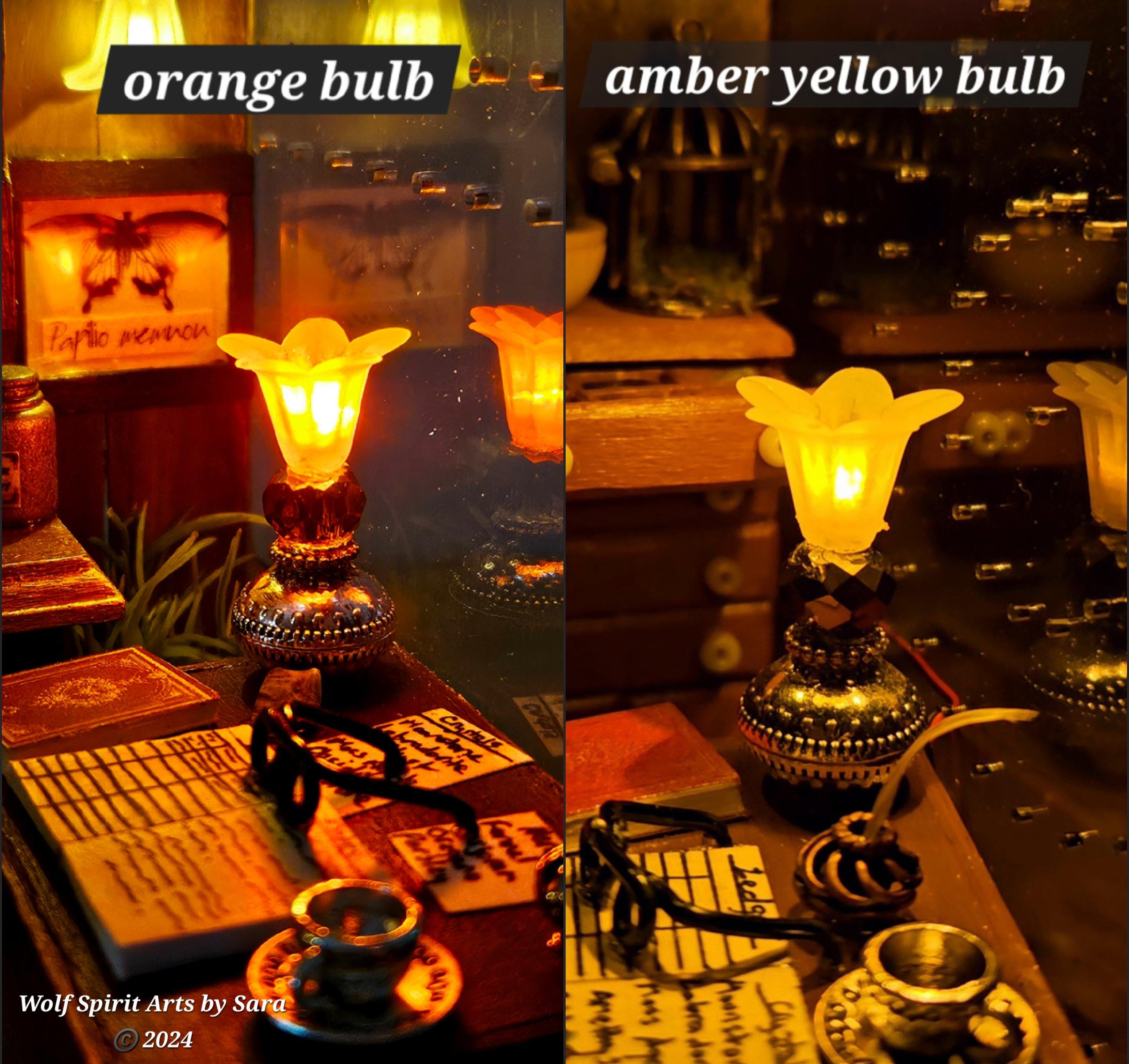 Made-to-order DELUXE 6x9 Light-up Apothecary Enclosure, Jumping