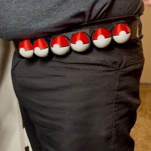 May include: A black belt with six red and white Poke Balls attached to it. The Poke Balls are arranged in a row and are evenly spaced.