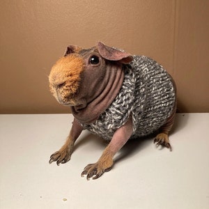 Knitted sweater
