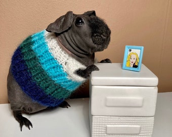 white and green and blue striped Guinea pig dress