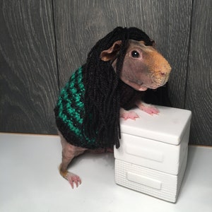 Costume d’Halloween