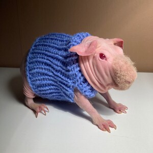Knitted sweater